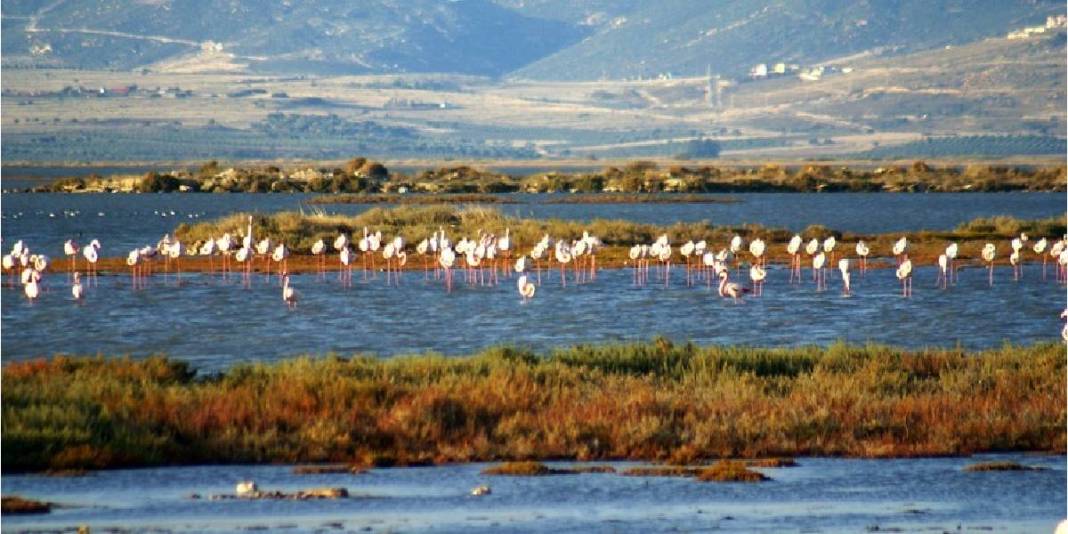 Ege’nin keşfedilmemiş kuş cenneti! Büyük-küçük herkes buraya bayılıyor: Doğası ve gün batımıyla büyülüyor 1